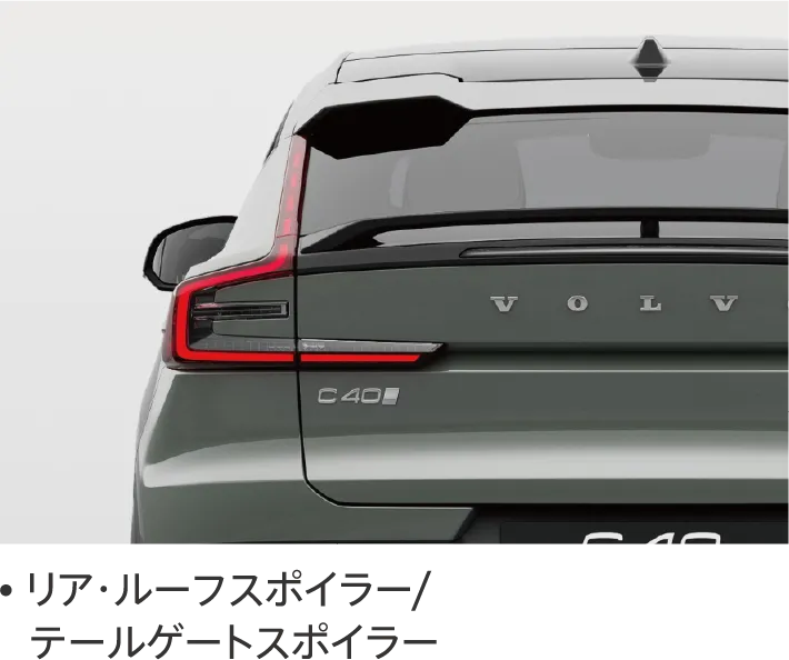 リア・ルーフスポイラー/テールゲートスポイラー